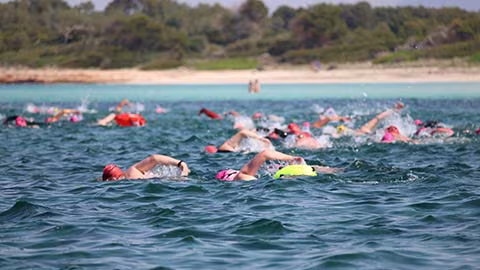 Best Fest Open Water Swim