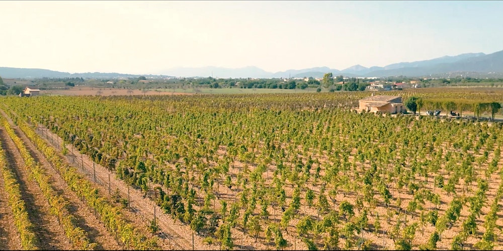 A UNIQUE MALLORCAN WINE EXPERIENCE