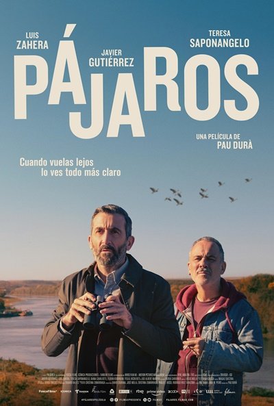 Rivoli Palma, Pajaros 15/04