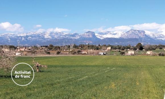 Sineu, Cicle de Conferencies "La UOM arreu de Mallorca"