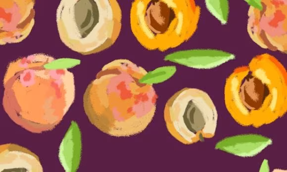 Porreras, Fira de l Albercoc