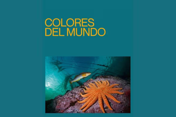 Colores del mundo