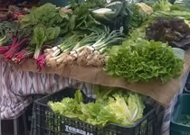 Mercado semanal de Consell