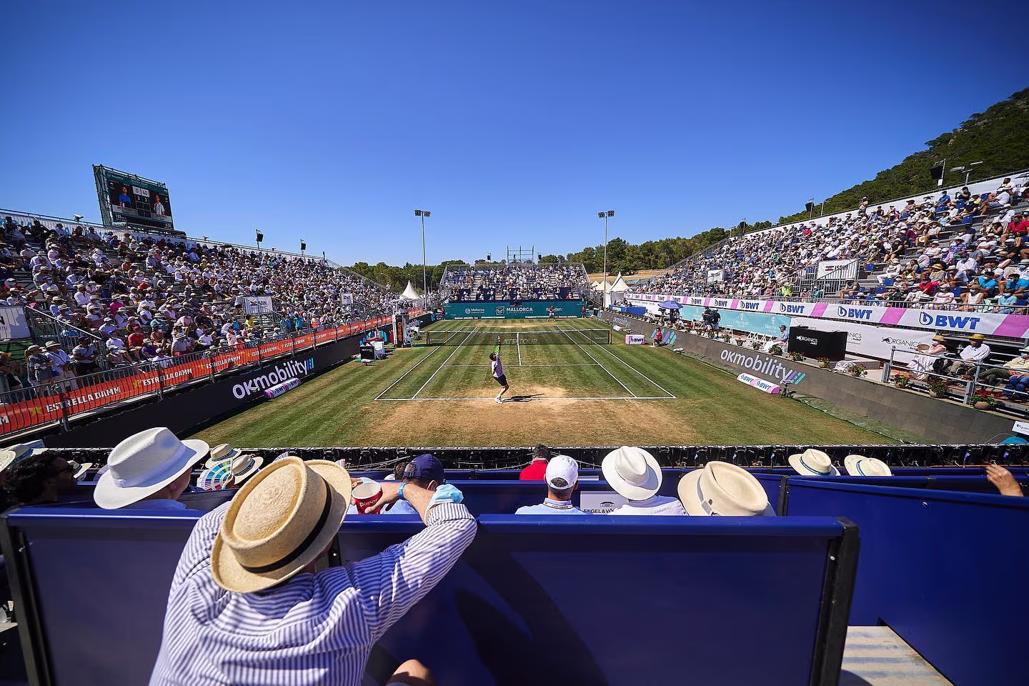 Mallorca Championships 2026 – ATP Tennis Tournament