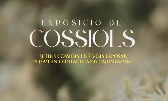 Exposició de cossiols