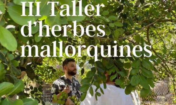 3a edició del taller d’herbes mallorquines